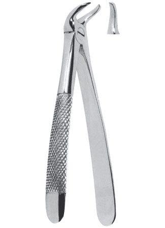 Extracting Forceps – English Pattern